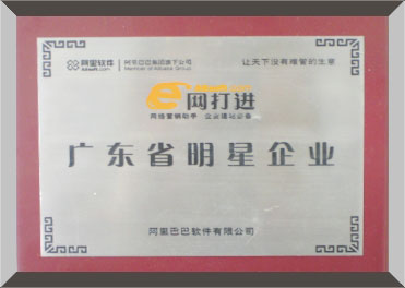 广东省明星企业