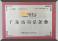 广东省明星企业